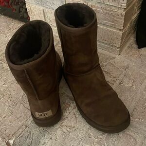 Chocolate Brown Uggs